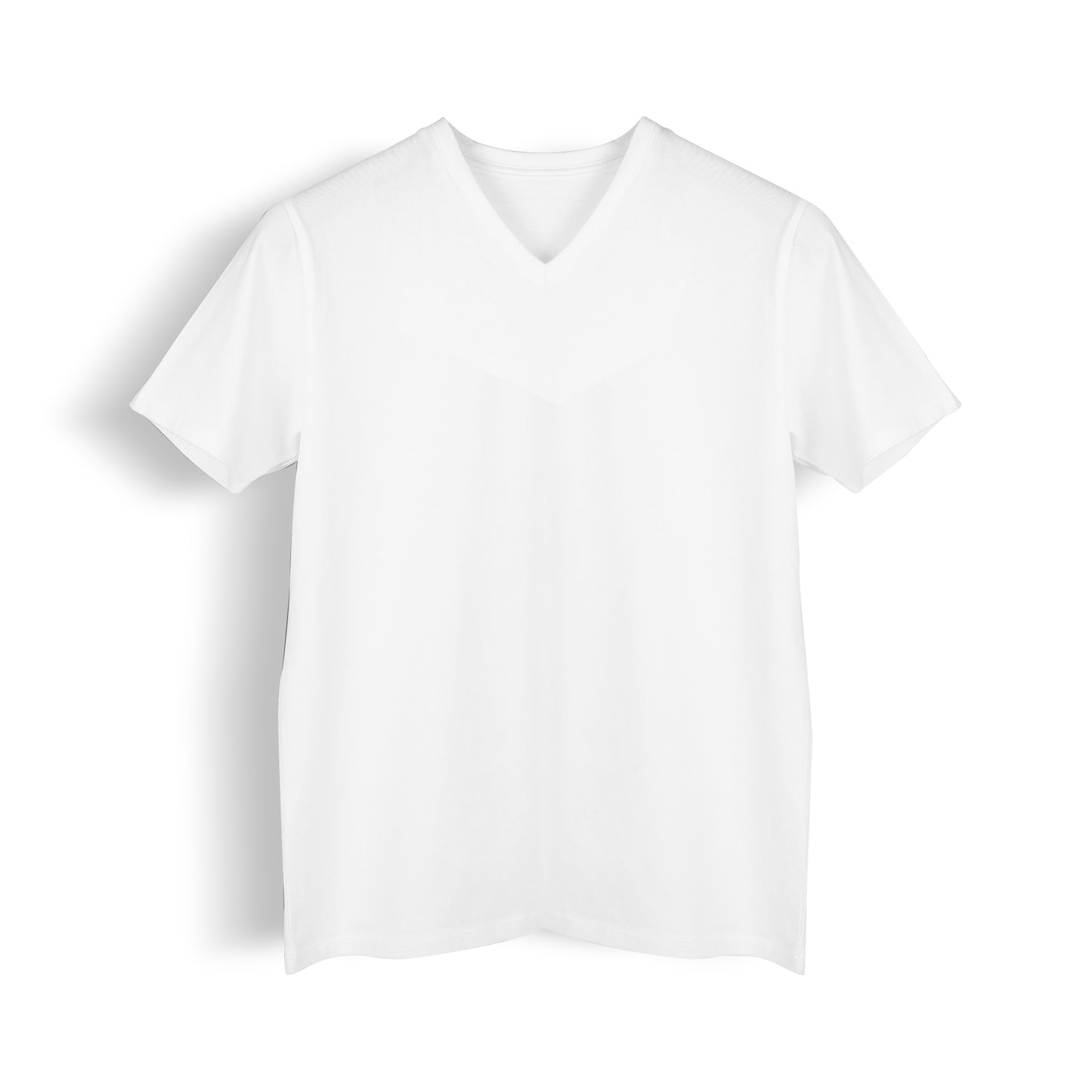 Regular Fit V-Neck T-Shirt