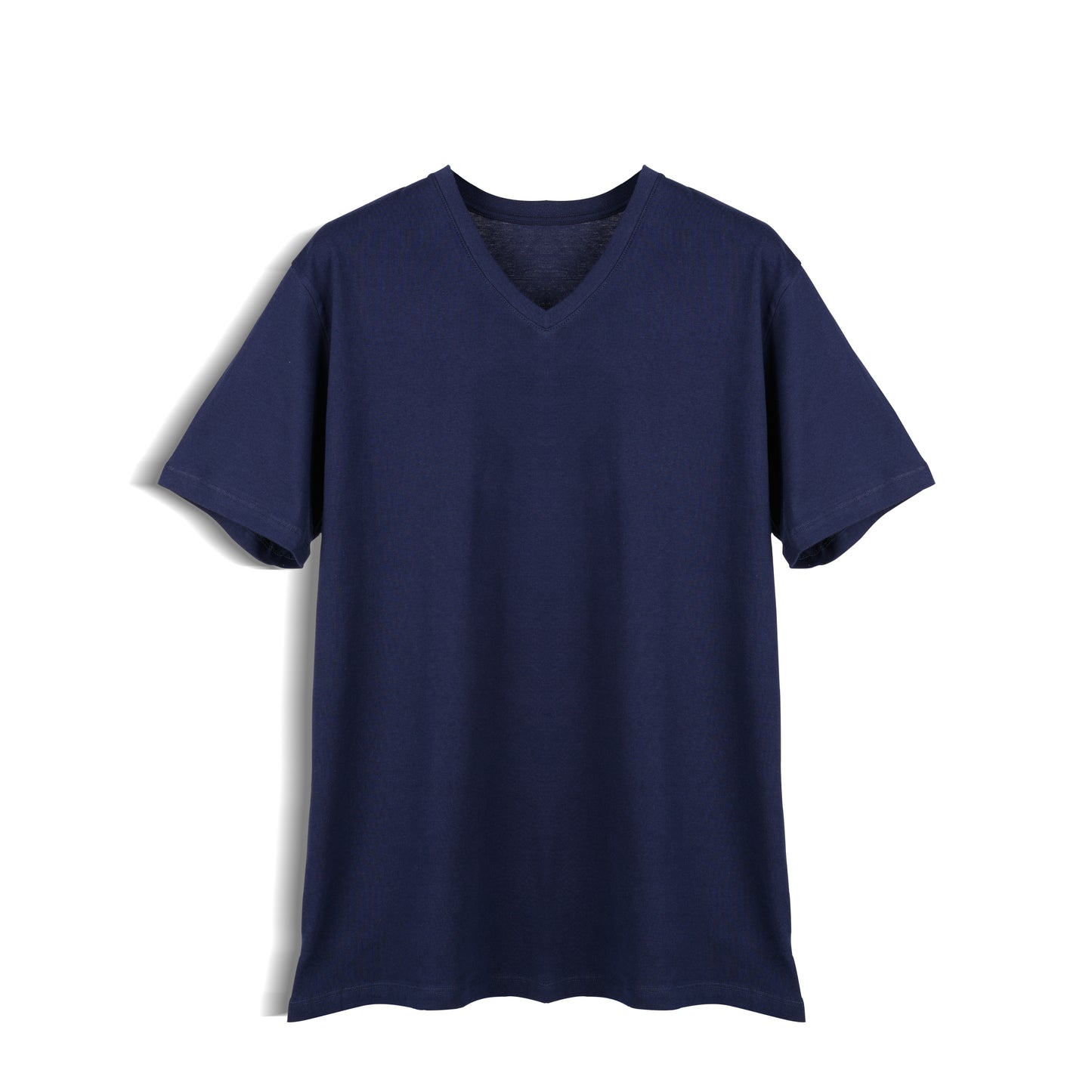Regular Fit V-Neck T-Shirt