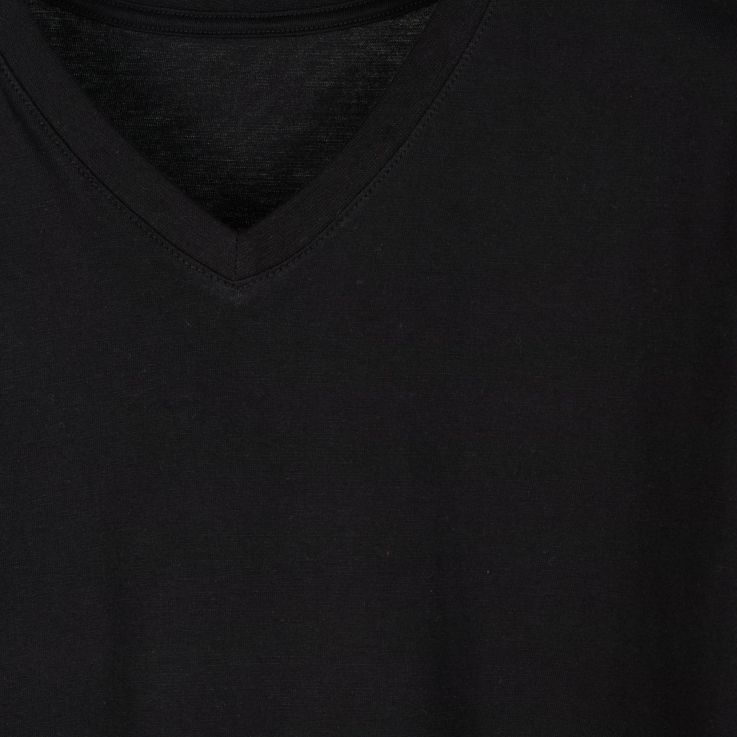 Regular Fit V-Neck T-Shirt