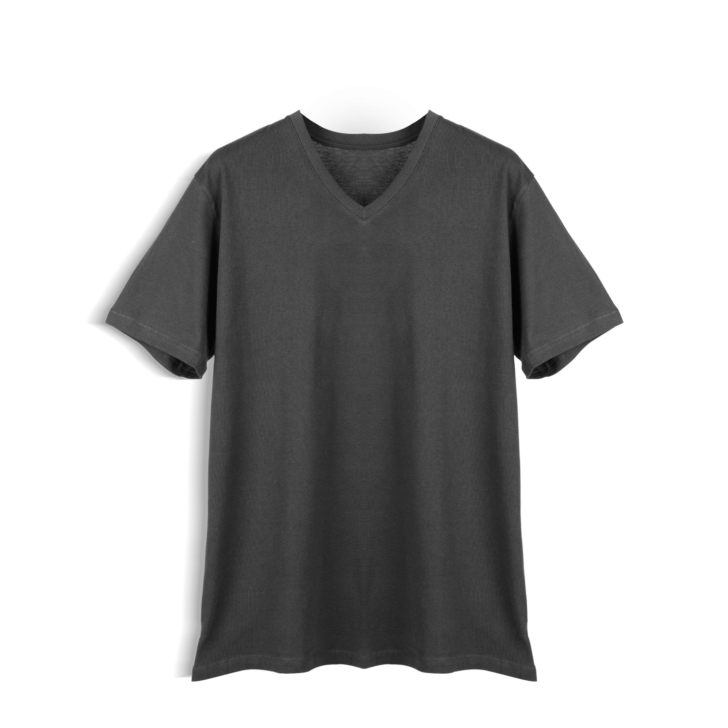 Regular Fit V-Neck T-Shirt
