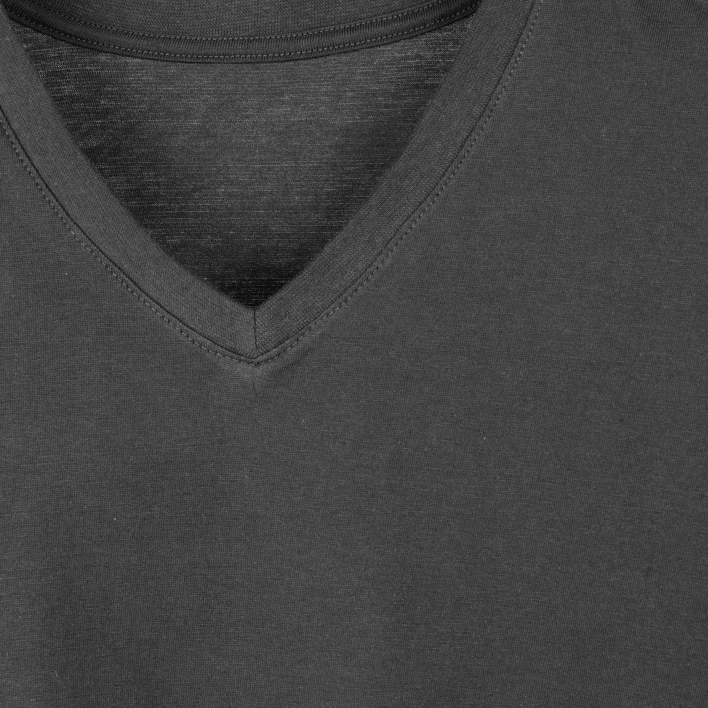 Regular Fit V-Neck T-Shirt